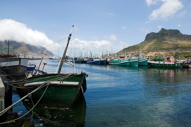 Best of the Cape Private full day tour - Cape Point Vineyards tasting room: wine plus viewpoint time