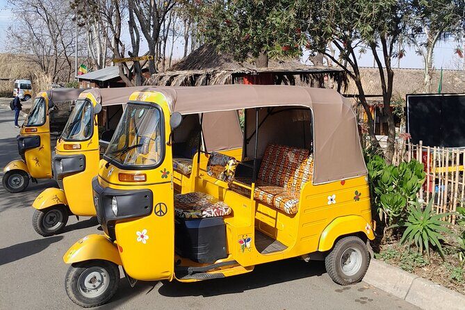 Bicycle or Tuk Tuk Soweto Guided Experience - Key points at a glance