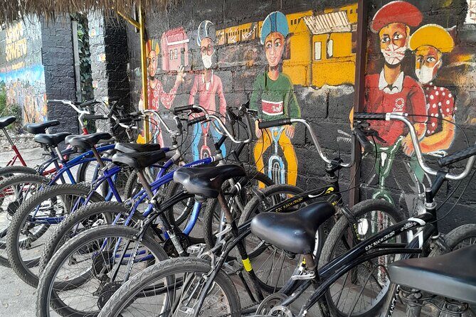 Bicycle or Tuk Tuk Soweto Guided Experience - Hector Pieterson Museum: the student uprising explained