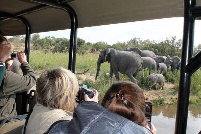 BIG 5 Kruger 3 Days Safari from Johannesburg - Key Things I’d Watch For