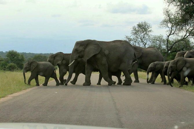 BIG 5 Kruger 3 Days Safari from Johannesburg - Price and Value: What You’re Paying For (and What You’ll Still Need to Budget)