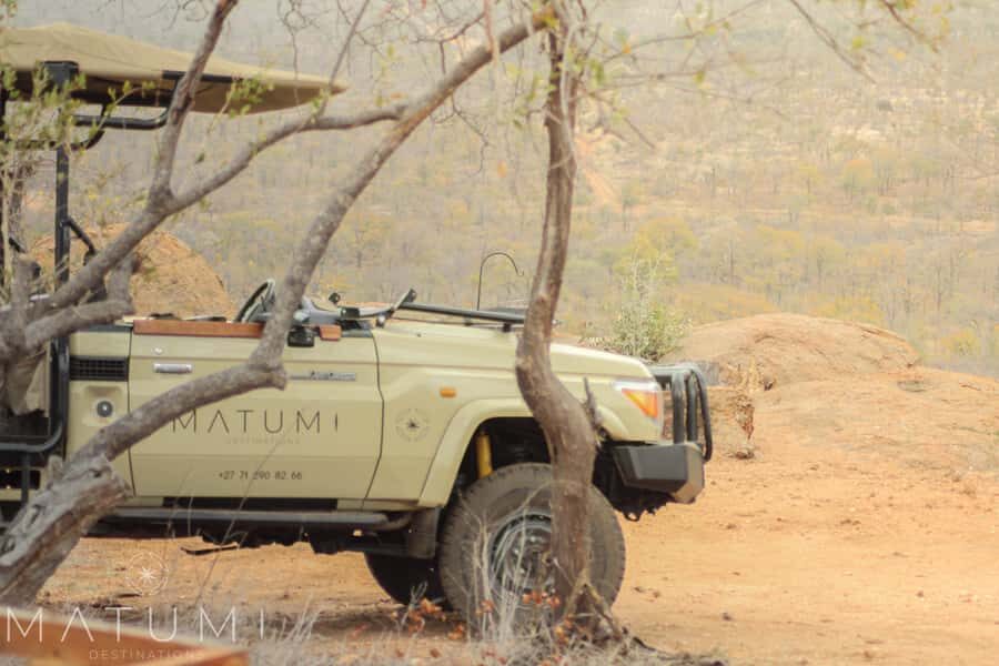Big 5 Safari Am or Pm - Big Five safari from Hoedspruit: why this 4-hour format is smart