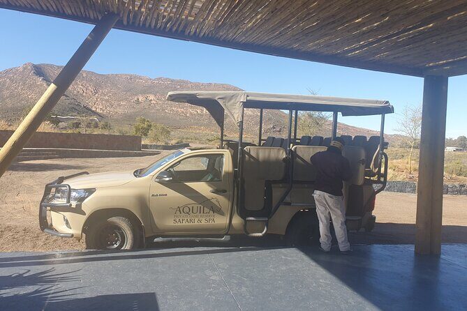 Big 5 Safari Aquila Full Day Private Return From Cape Town - The safari pace: why 2–3 hours feels both short and perfect