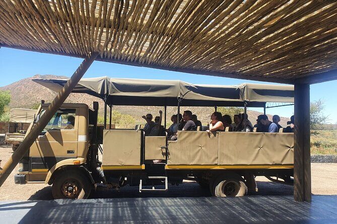 Big 5 Safari Aquila Full Day Private Return From Cape Town - Lunch, welcome drinks, and the snack gap to plan for