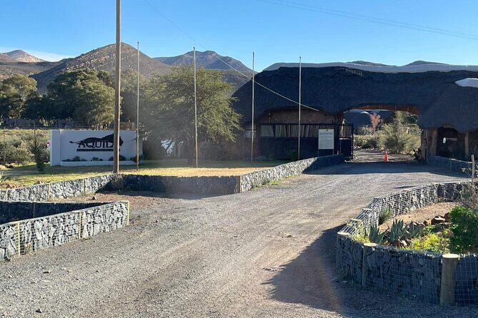 Big 5 Safari Aquila Full Day Private Return From Cape Town - Optional winelands tasting: Stellenbosch, Paarl, or Franschhoek