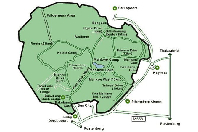 Big 5 Safari Experience at Pilanesberg National Park - Group size (max 36) and what it means for your safari experience