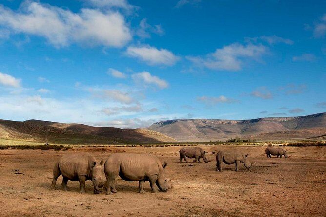 Big 5 Safari One Day Tour - The road trip legs: Du Toitskloof tunnel, Breede Valley views, and mountain towns