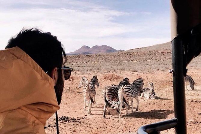 Big 5 Safari One Day Tour - Who this tour fits best (and who might be happier elsewhere)