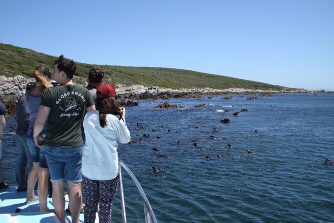 Big 5 Sea Safari in Walker Bay from Gansbaai - Why Walker Bay and Gansbaai Makes Sense for a Big 5 Sea Safari