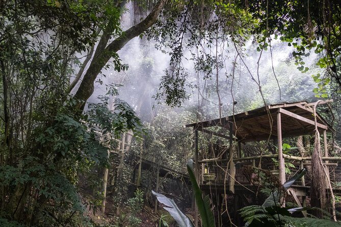 Birds of Eden Admission Ticket - Self-Guided vs Complimentary Guide: Choose Your Pace