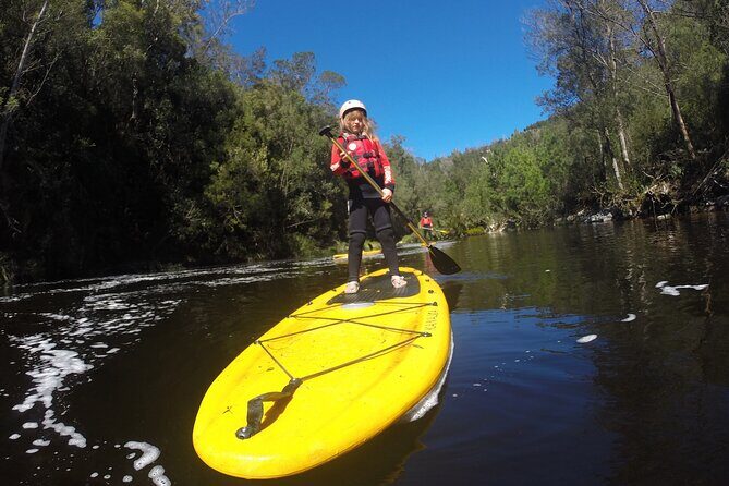 Blackwater Tubing Green Route Forest Adventure - Views of the Tsitsikamma Forests: what you should actually look for
