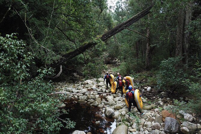 Blackwater Tubing Green Route Forest Adventure - Timing and private tour comfort: what 3 hours feels like
