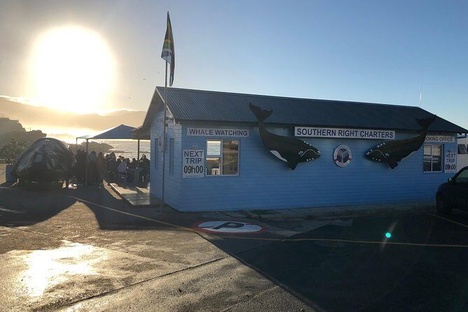 Boat Based Whale Watching from Hermanus - Price and Value: Is $287.84 Worth It?