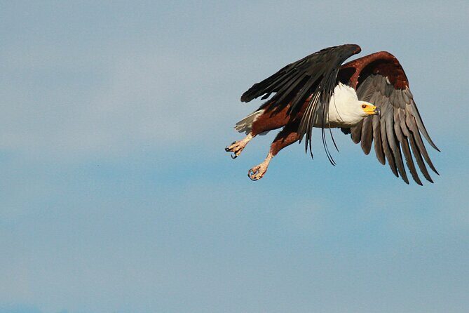 Boat & Safari Combo - Blyde Dam Boat Cruise & Private Safari - The drive to the Blyde River Canyon: quick transfer, big payoff