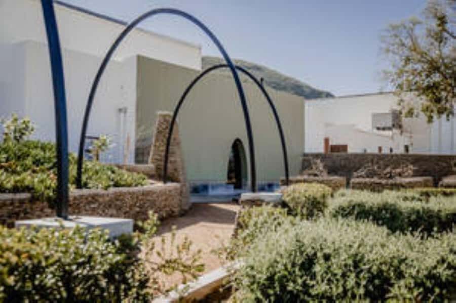Bonnievale : Captivated By Chardonnay - Where Weltevrede’s underground Chardonnay story starts