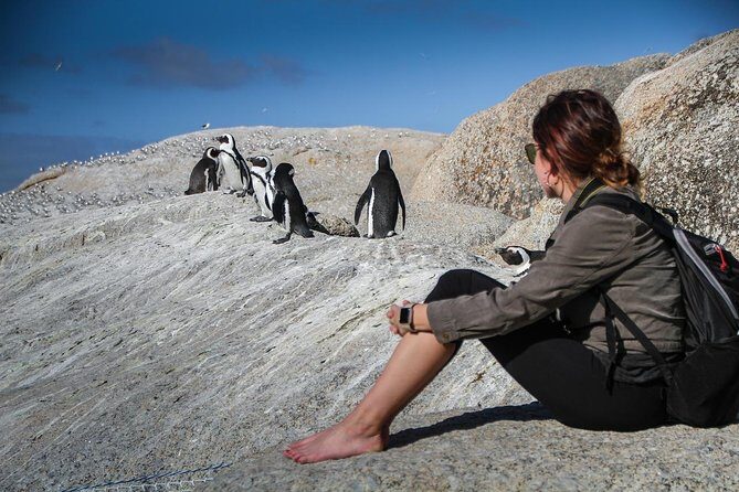 Boulders Beach Cape Town: Swimming With Penguin & Close Encounter Half Day Tour - Simon’s Town break: Just Nuisance is quick, but charming