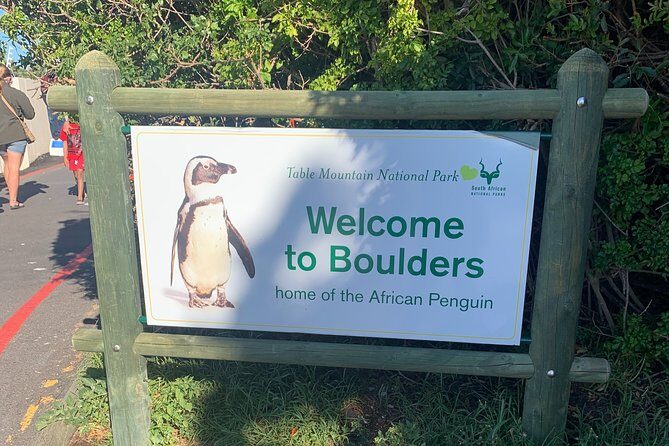Boulders Beach Penguins and Seal Island Boat Trip Half Day Tour - Should You Book This Half-Day Wildlife Tour?