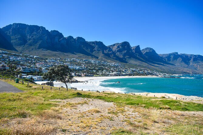 Boulders Beach Penguins Half Day Tour - Hout Bay approach and Chapman’s Peak Drive: where the coast does the talking