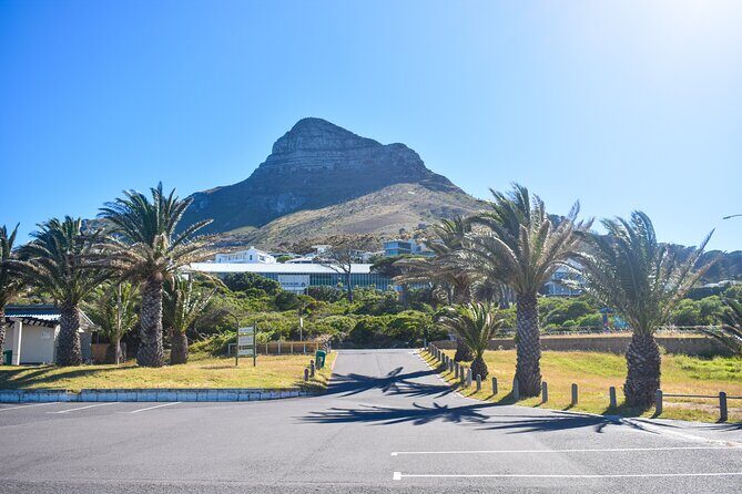 Boulders Beach Penguins Half Day Tour - Twelve Apostles and the viewpoint rhythm: photos without missing the moment