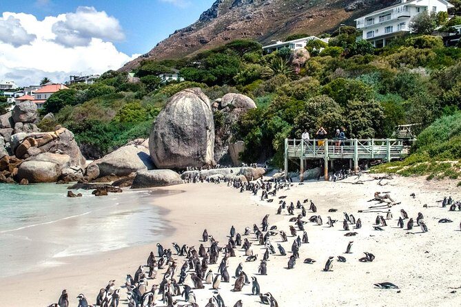 Breath-taking Cape Peninsula Tour - Price and Logistics: what $86.58 really covers