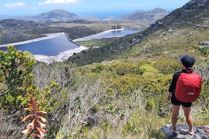 Breathtaking Table Mountain Guided Hike - Off the Beaten Track! - Should you book this off-the-beaten-track Table Mountain hike?