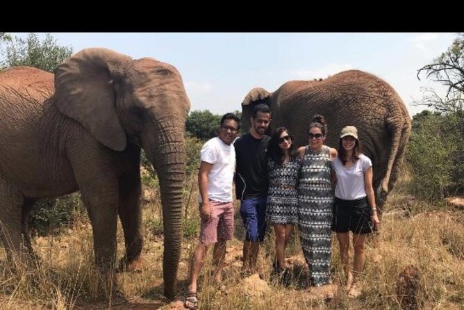 Bush Babies & Monkey Sanctuary and Elephants walk Private - Hartbeesport Elephant Sanctuary: education first, then a guided walk