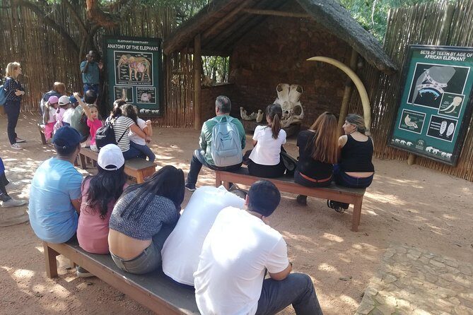 Bush Babies & Monkey Sanctuary and Elephants walk Private - Your guide, pickup, and timing: why the logistics matter