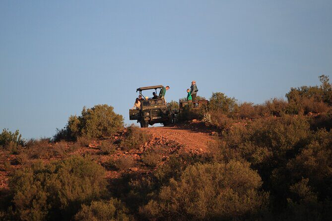 Bush Safari - Swartberg Mountains 360° viewpoint: the pause that makes the drive feel complete
