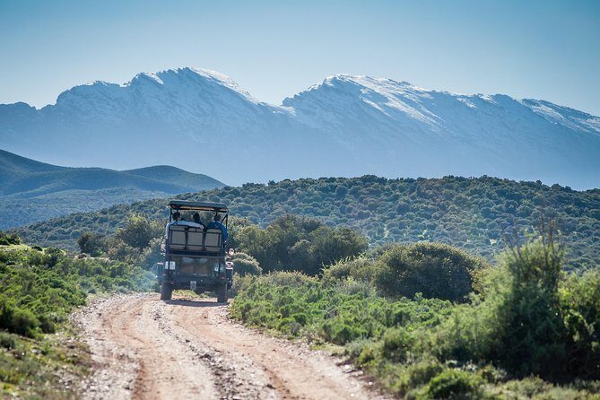 Bush Safari - Guide quality and on-lodge comforts: why this feels smoother than big tours