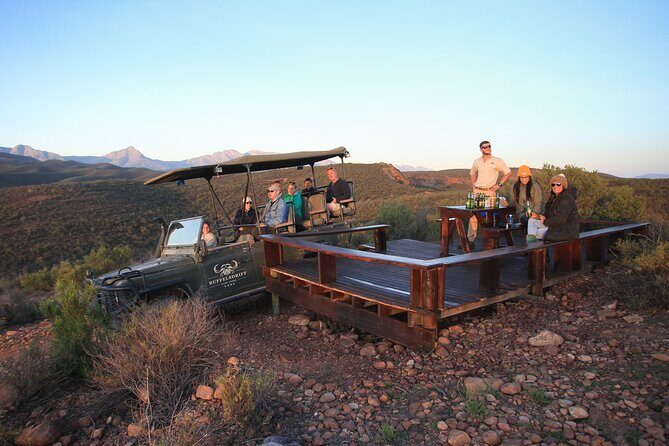 Bush Safari - When to go: morning vs afternoon starts and what to expect