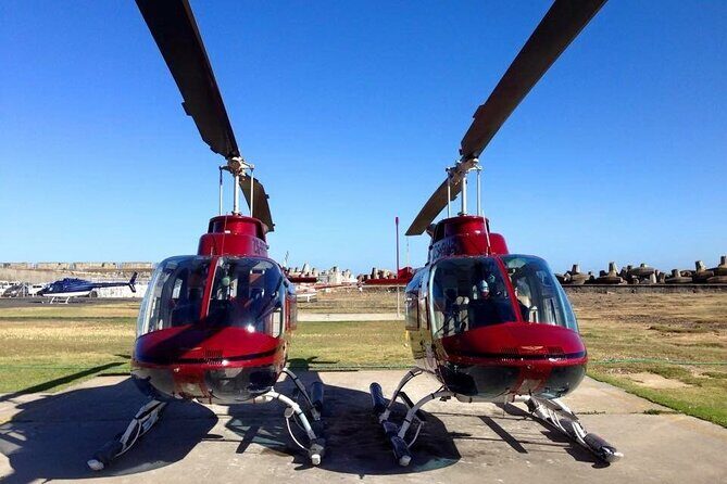 Camps Bay and Hout Bay Helicopter Tour from Cape Town - Practical logistics that affect your day (without the headache)