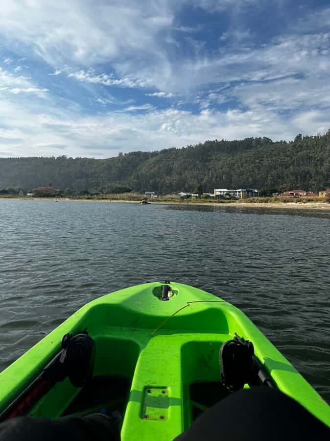 CANOEING IN SEDGEFIELD AT OYSTERS EDGE, GARDEN ROUTE - What You’ll See on the Water: Estuary Birds and a Relaxed Pace