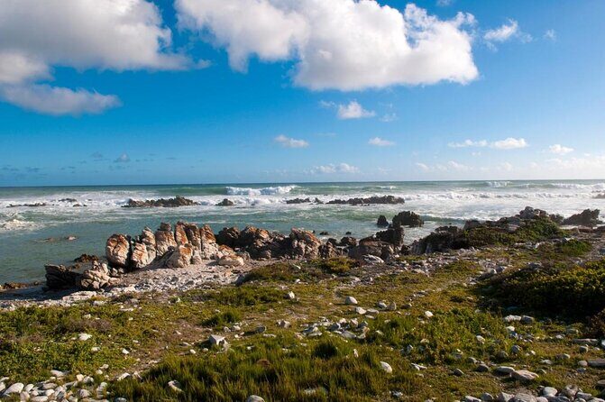 Cape Agulhas Full Day Private Tour - Key Points That Make This Tour Worth Your Time