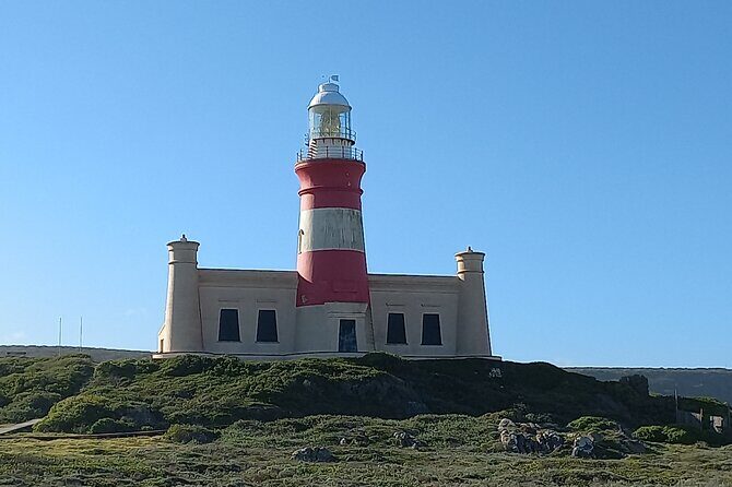 Cape Agulhas Full Day Private Tour - Best-Fit Travelers (And Who Might Want a Different Pace)