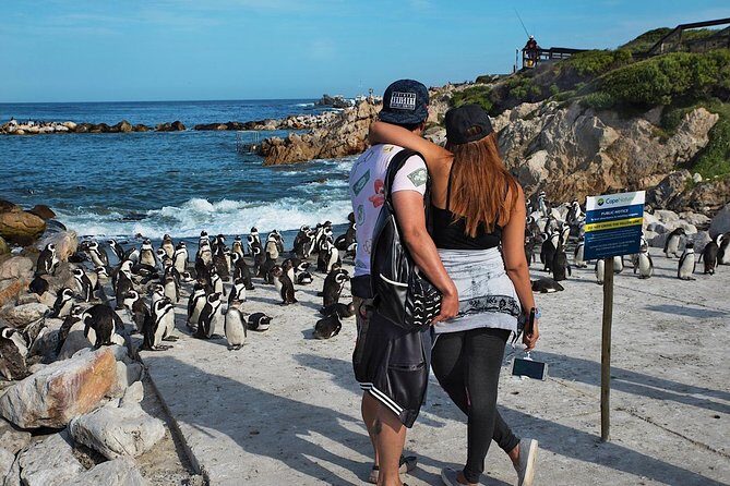 Cape Agulhas Full Day Private Tour from Cape Town - Driving Time and the Coastline Payoff: What 12 Hours Really Means