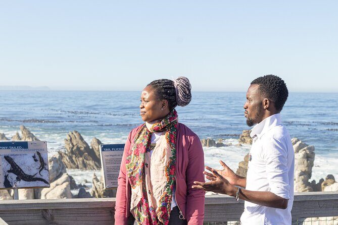 Cape Agulhas Full Day tour - The Whole Day Experience: Pacing, Driving, and Weather Reality