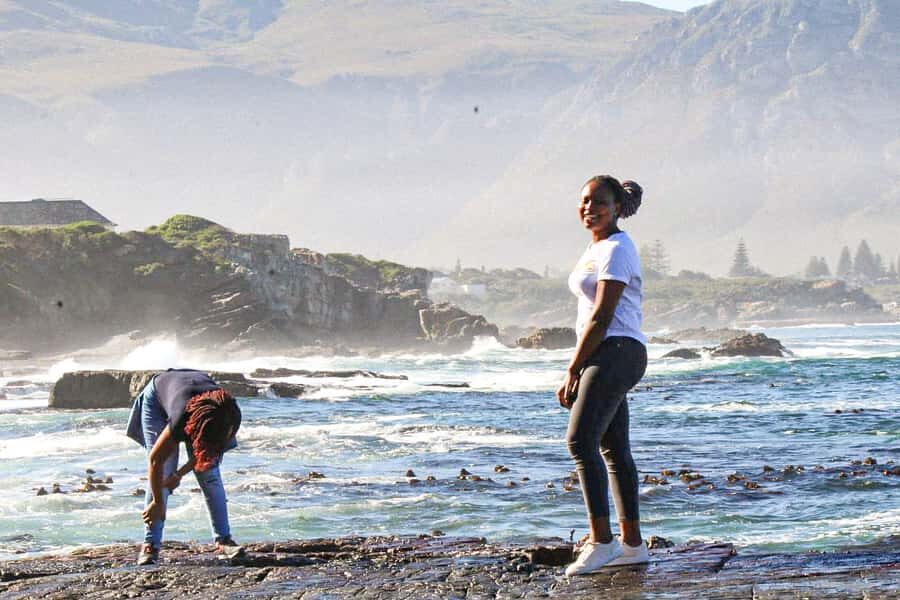 Cape Agulhas, Hermanus & Stoney point Penguins full Day Tour - The Whale Coast Route Sets the Tone for the Day
