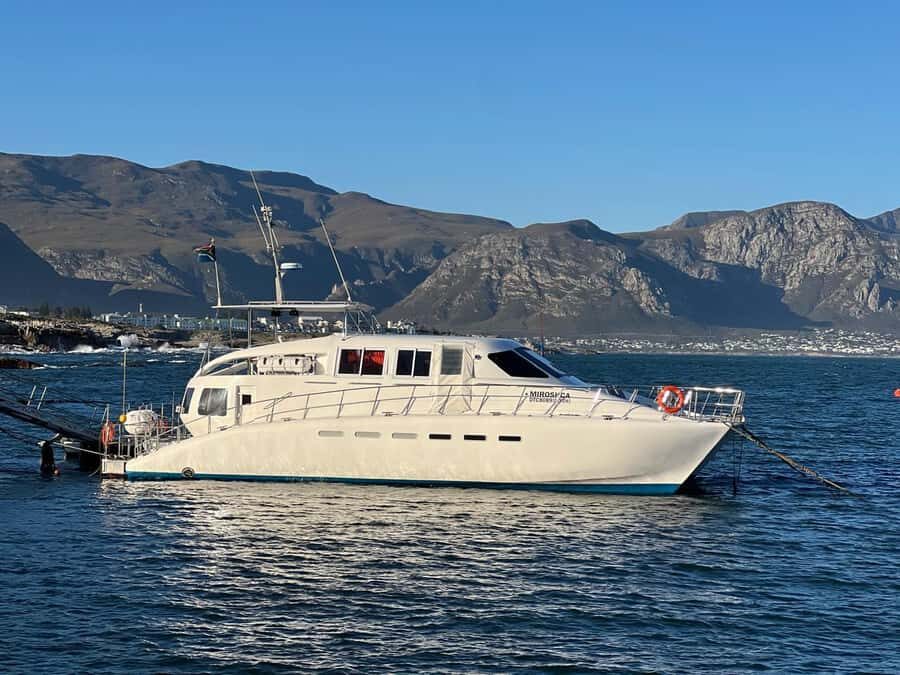 Cape Agulhas, Hermanus whales & Wine Tasting Day Trip - Guide matters: professional, patient, and flexible can change the day