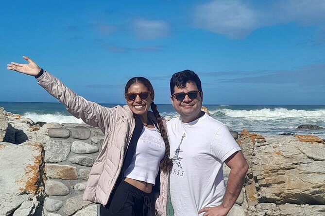 Cape Agulhas Southern Point of Africa Private Tour - A long day with a smart route: penguins, whales, wine, then two oceans