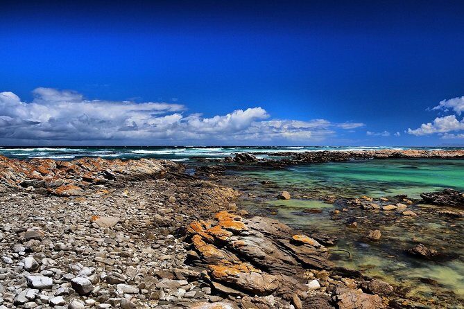 Cape Agulhas | Stony Point Nature Reserve - Struisbaai Beach: warm water, clear views, quick reset