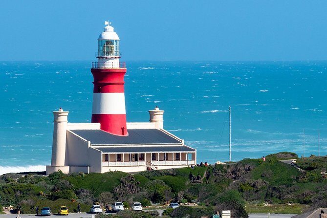 Cape Agulhas | Stony Point Nature Reserve - Stony Point Nature Reserve and African penguins