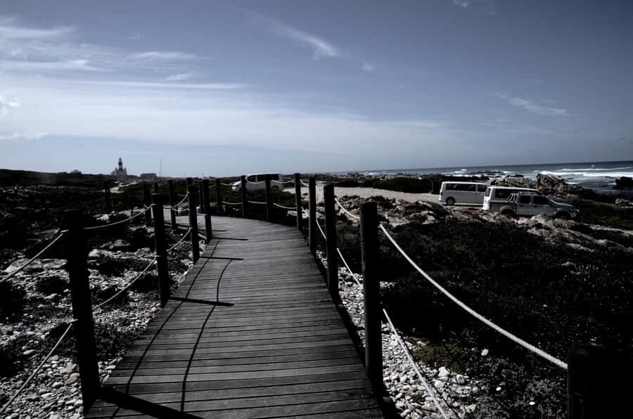 Cape Agulhas Tour from Cape Town - Price and value: what $154 buys (and what you’ll still pay)