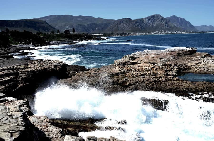 Cape Agulhas Tour from Cape Town - A 9-hour road trip to the edge of the map