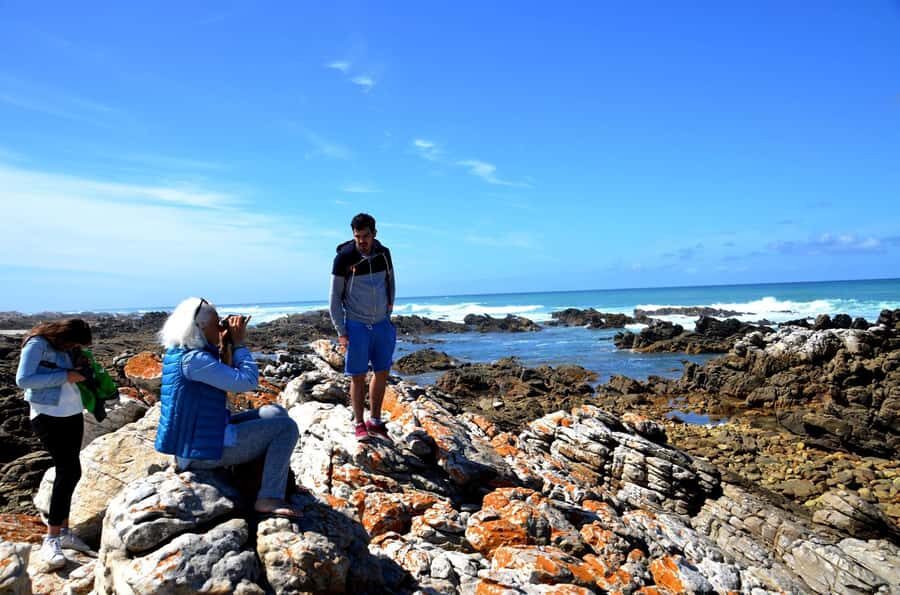 Cape Agulhas Tour from Cape Town - The break at the café: small pause, big payoff