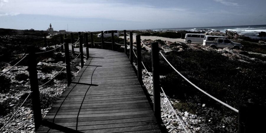 Cape Agulhas Tour from Cape Town - Lunch timing: plan ahead since it’s not included