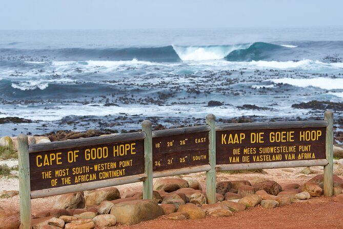 Cape of Good Hope and Boulders Beach Group Tour in Cape Town - Key highlights worth getting excited about