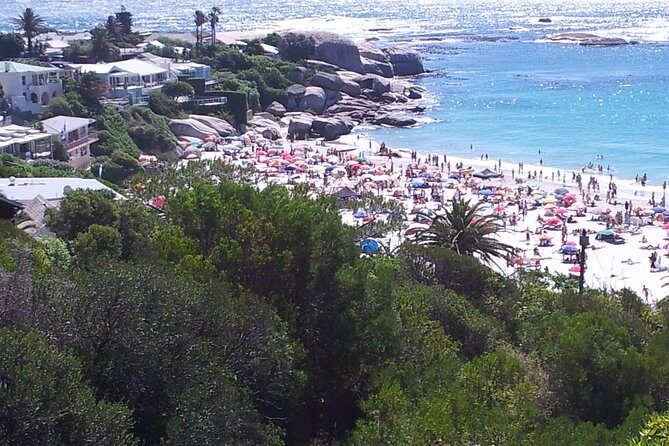 Cape of Good Hope and Cape Winelands Day Tour from Cape Town - Boulders Beach Penguins: A short optional stop (and extra admission)