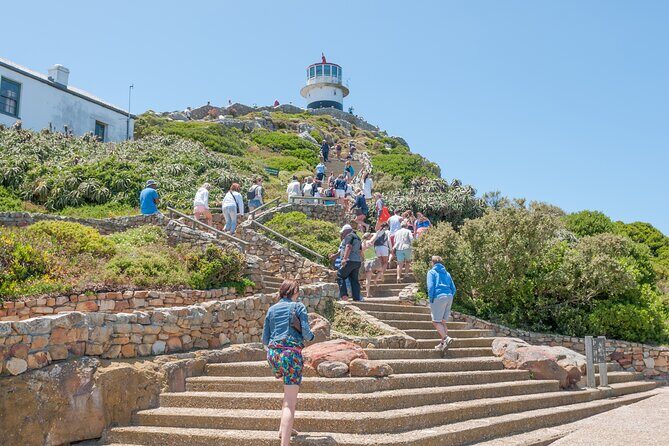 Cape Of Good Hope and Penguins Full Day Small Group Tour from Cape Town - Boulders Beach Penguin Colony: up-close African penguins on a boardwalk