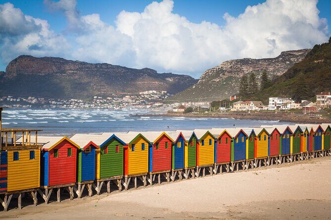 Cape Of Good Hope and Penguins Full Day Small Group Tour from Cape Town - Hout Bay Harbour: seals by boat or a calmer market break