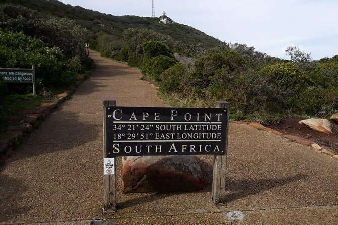 Cape of Good Hope and Penguins - Small Group - Full day - A Day That Packs Cape Town’s Coast Into One Smooth Plan
